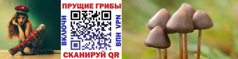 Псилоцибиновые грибы прущие грибы  Лихославль 